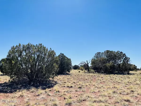 Williams, AZ 86046,6868 Lasso Loop #Lot A