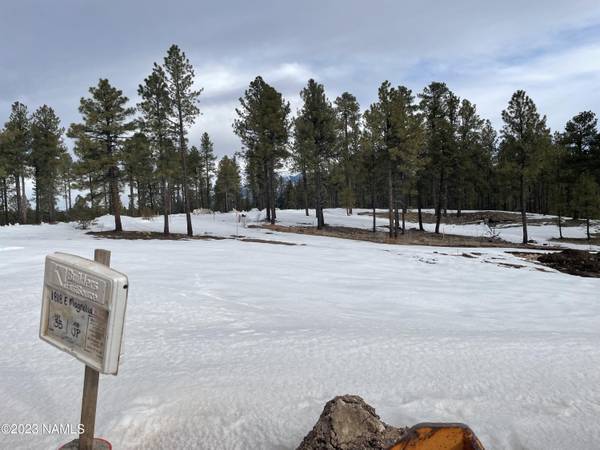 Flagstaff, AZ 86005,1826 E Magnolia Drive #Lot 36