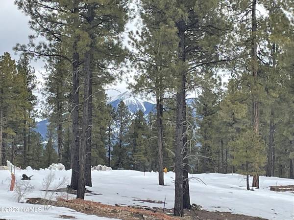 Flagstaff, AZ 86005,1810 E Magnolia Drive #Lot 34