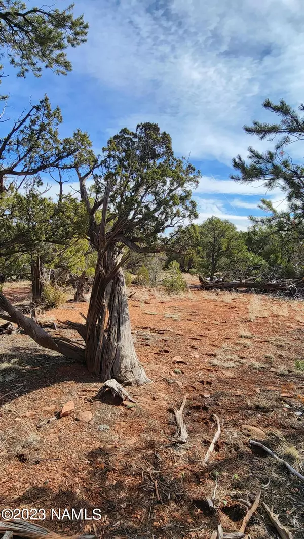 Williams, AZ 86046,7635 Water Tank Circle #375