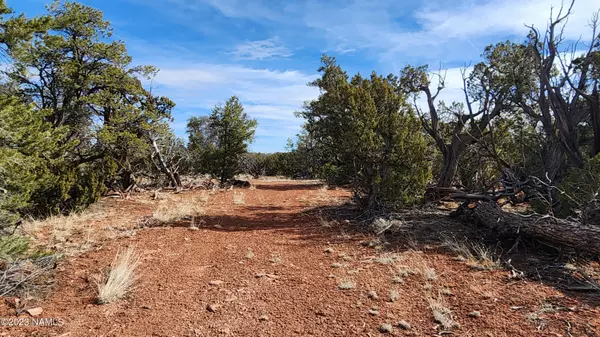 Williams, AZ 86046,7635 Water Tank Circle #375