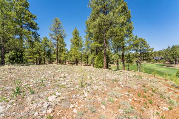 Flagstaff, AZ 86005,3674 S Woodland Hills Drive #380