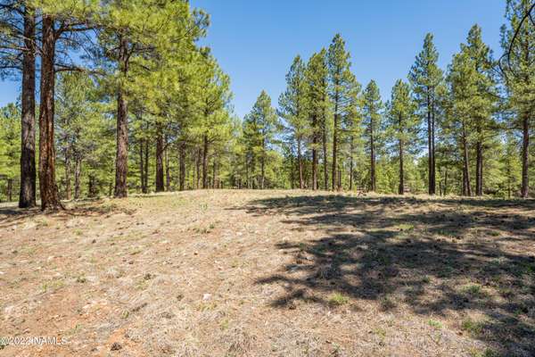 Flagstaff, AZ 86005,3674 S Woodland Hills Drive #380