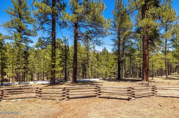 Flagstaff, AZ 86001,4480 Hidden Hollow Road