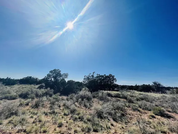 Williams, AZ 86046,5614 N Alta Villa Road #Lot B