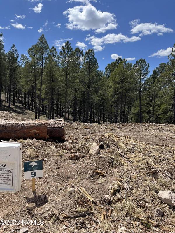 Flagstaff, AZ 86005,2659 S Cottonrose Lane #Lot 9