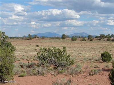 Williams, AZ 86046,1292 Indian Meadows Lot C - 12 Ac Road