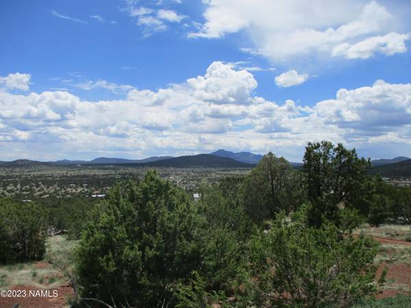 Williams, AZ 86046,1877 E Sagebrush Road #13