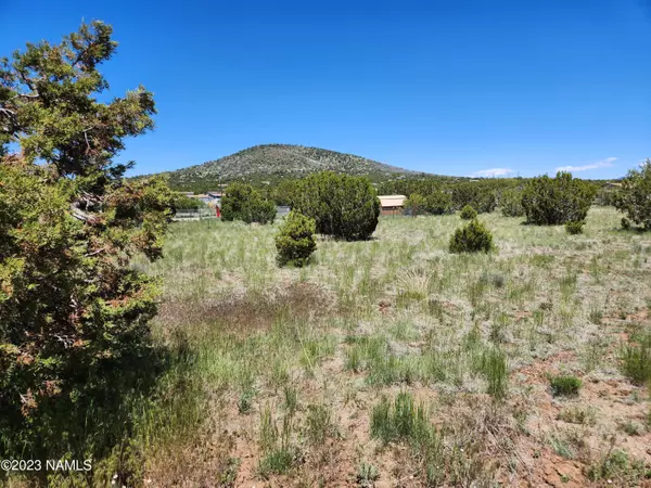 Williams, AZ 86046,1511 E Brook Hill Road