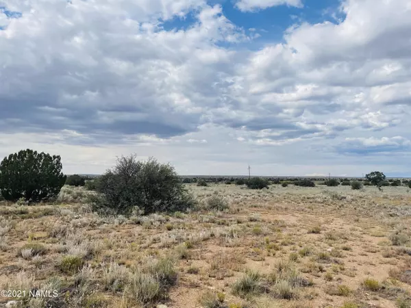 Williams, AZ 86046,4115 N State Route 64 #Lot C