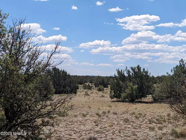 Williams, AZ 86046,10422 W Red Bluff Road #628