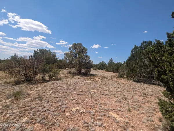 Williams, AZ 86046,10422 W Red Bluff Road #628