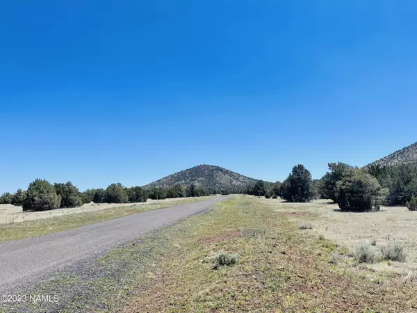 Williams, AZ 86046,7446 Violet Way