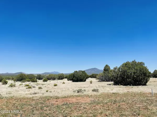 Williams, AZ 86046,7446 Violet Way