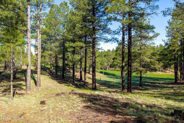 Flagstaff, AZ 86005,3647 Woodland Hills Drive