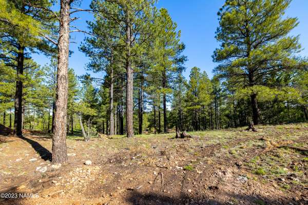 Flagstaff, AZ 86005,3647 Woodland Hills Drive