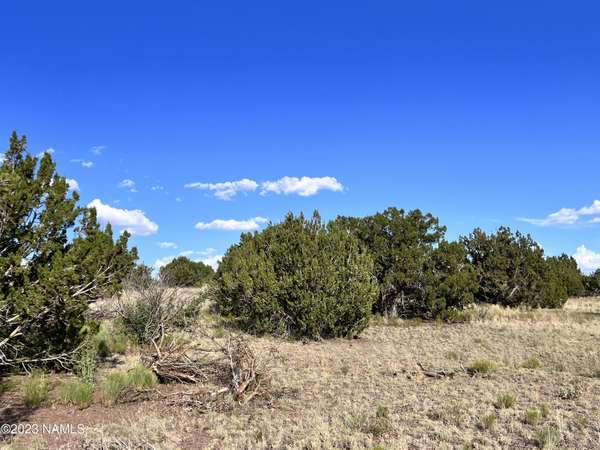 Williams, AZ 86046,8136 S Big Bear Road #463