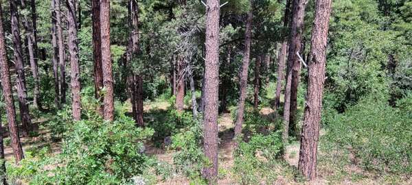 Williams, AZ 86046,1088 Timbernook Crossing Lot 24