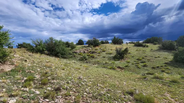 Williams, AZ 86046,5946 W Clove Hitch Road