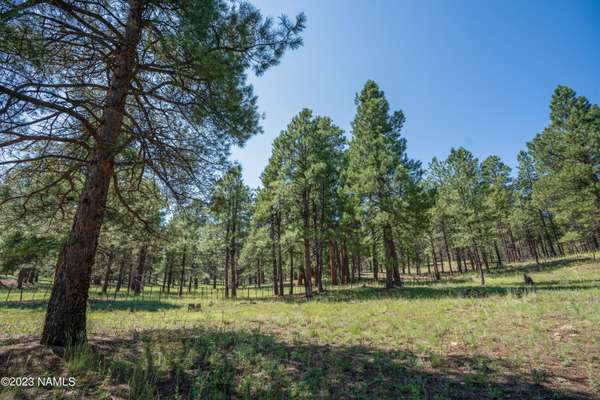 Flagstaff, AZ 86005,1840 E Sleeper Hollow Court