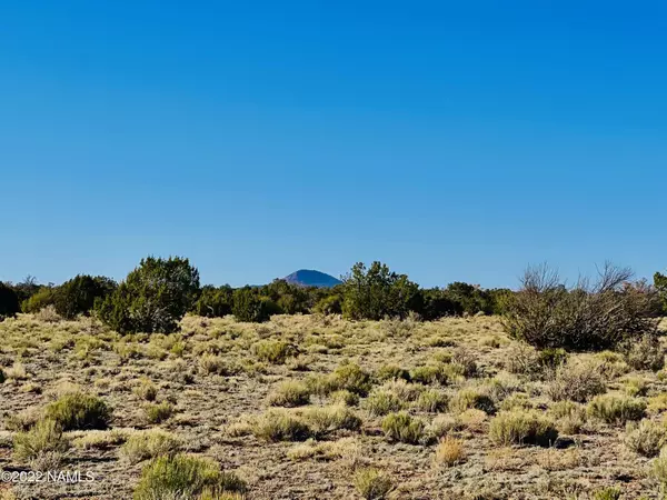 Williams, AZ 86046,4117 Red Butte Road #Lot C