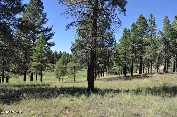 Flagstaff, AZ 86005,2900 S Solitaires Canyon Drive #345