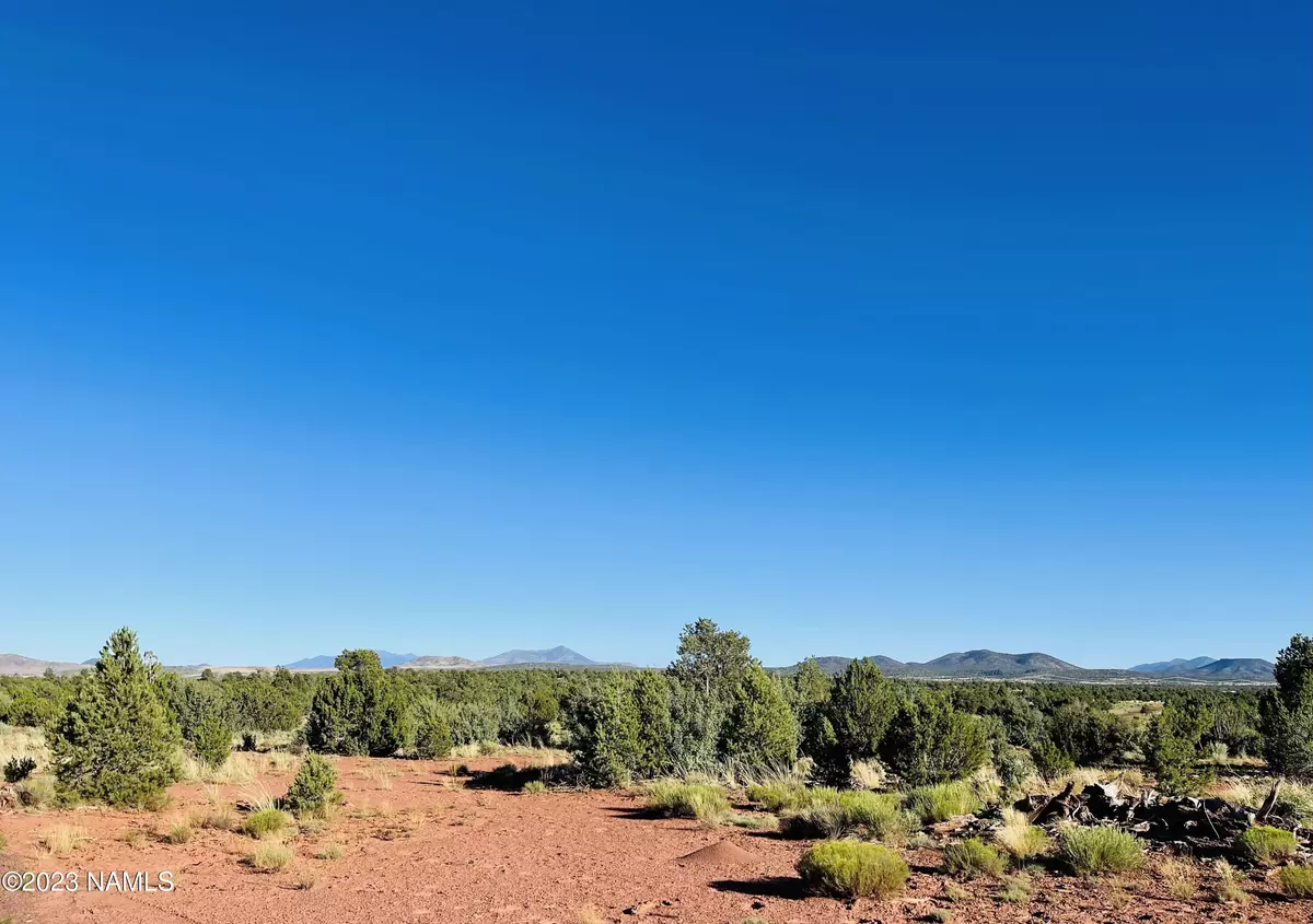 Williams, AZ 86046,4378 Lasso Loop #Lot 1