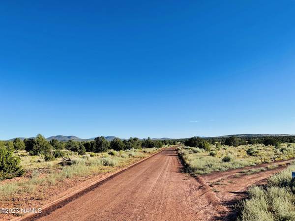 Williams, AZ 86046,4378 Lasso Loop #Lot 1