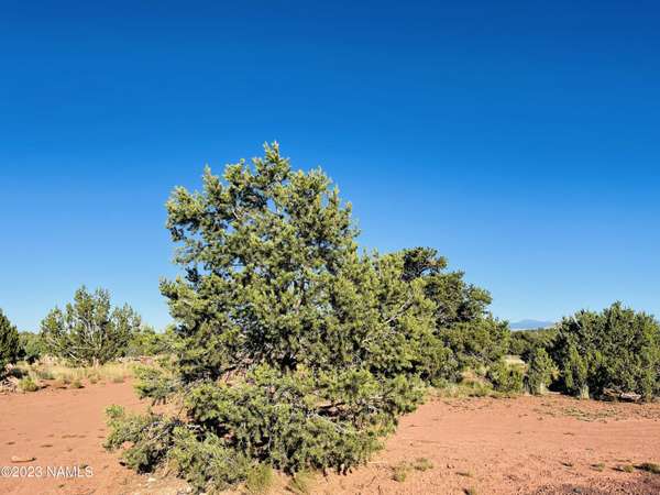 Williams, AZ 86046,4378 Lasso Loop #Lot 1