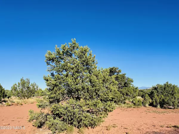 Williams, AZ 86046,4378 Lasso Loop #Lot 2