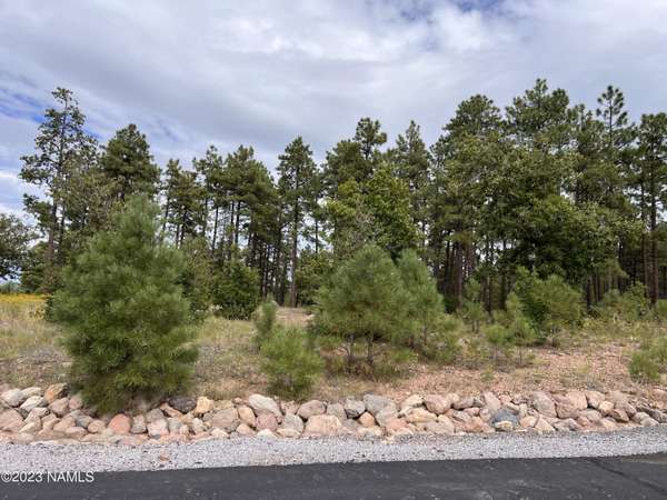 Williams, AZ 86046,1275 Redwall Way #94