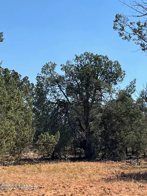 Ash Fork, AZ 86320,0 Gun Flint Trail