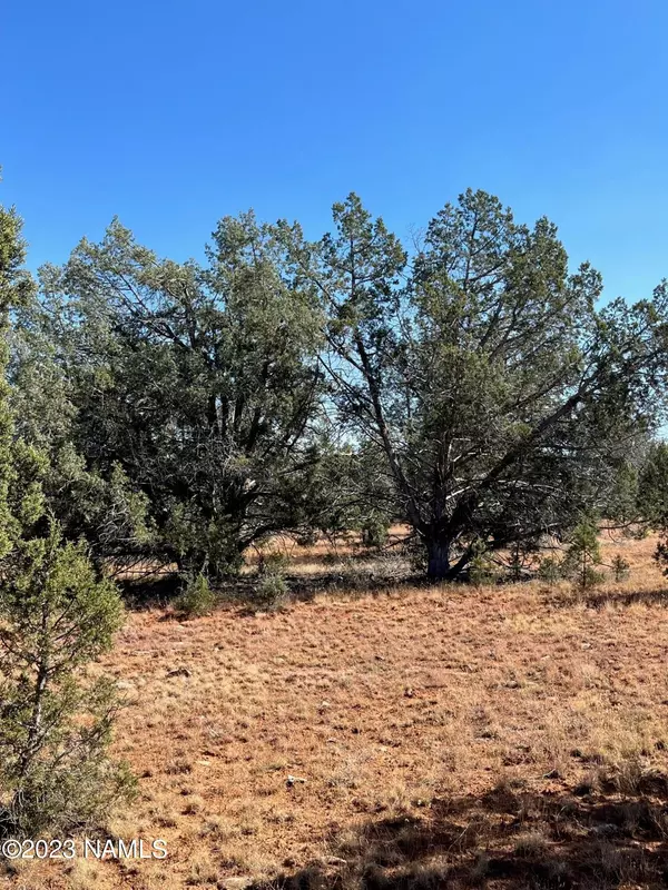 Ash Fork, AZ 86320,0 Gun Flint Trail