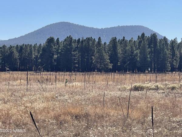 Flagstaff, AZ 86001,8847 Vista Peak Way #Lot 39