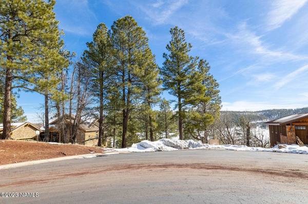 Flagstaff, AZ 86005,4965 W Braided Rein #40