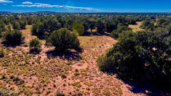 Williams, AZ 86046,4808 Meadowbrook Drive