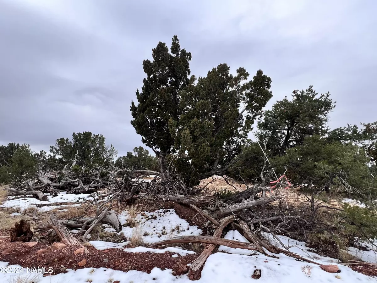 Williams, AZ 86046,8027 Water Tank - Lot A Circle