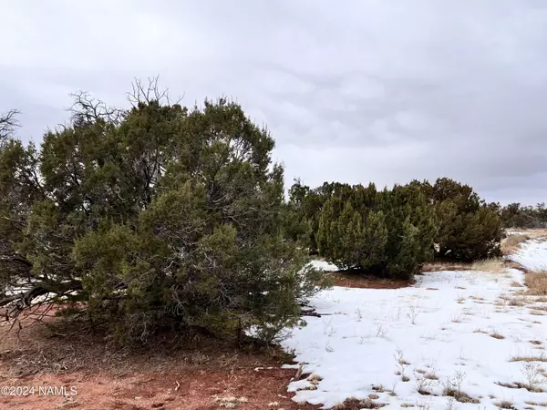 Williams, AZ 86046,8027 Water Tank - Lot A Circle