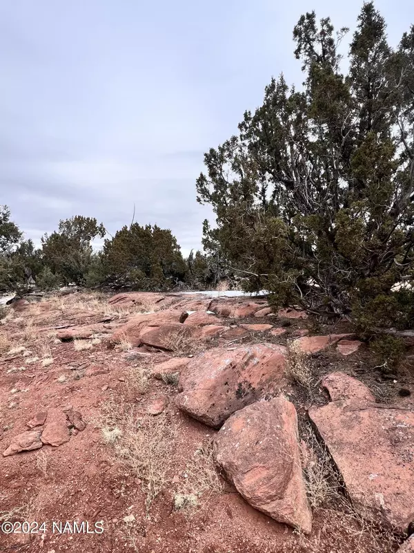 Williams, AZ 86046,8027 Water Tank - Lot A Circle