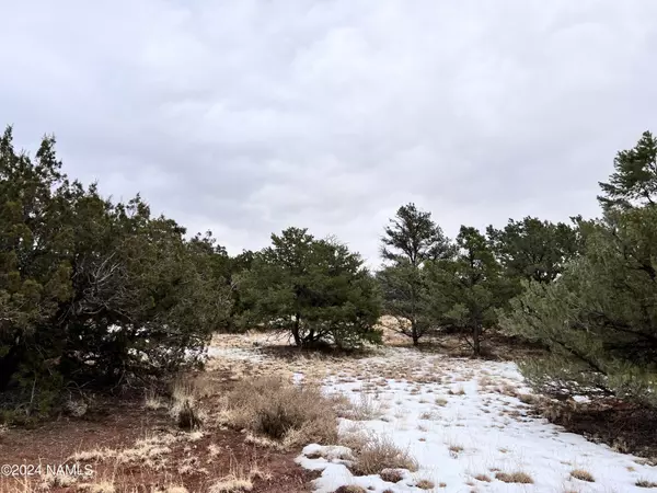 Williams, AZ 86046,8027 Water Tank - Lot C Circle