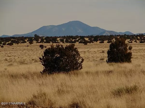 Williams, AZ 86046,7464 Mineral Wells - Lot C Road