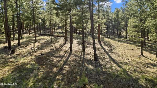 Flagstaff, AZ 86001,2097 N Cobblestone Circle #16