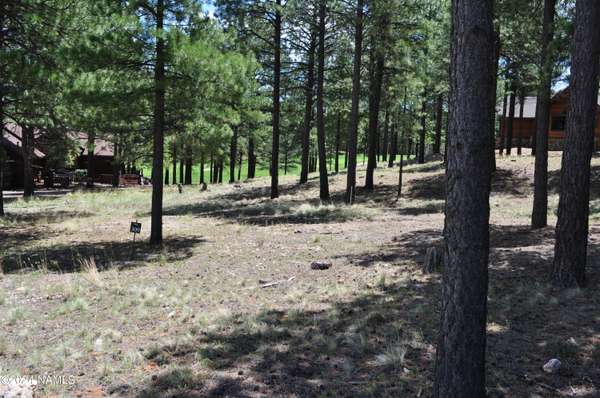 Flagstaff, AZ 86005,3925 S Clubhouse Circle #309