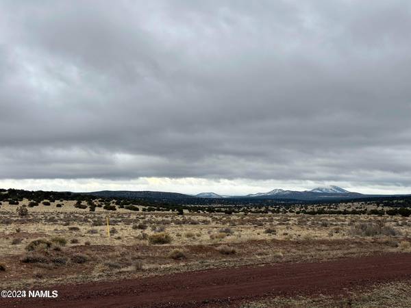 Williams, AZ 86046,4365 Jackrabbit Drive #358a