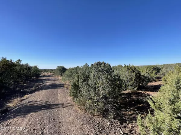 Williams, AZ 86046,815 E Jackpine Lane #65