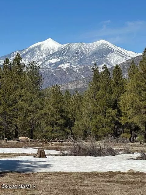 Flagstaff, AZ 86004,4860 E Gandalf Lane