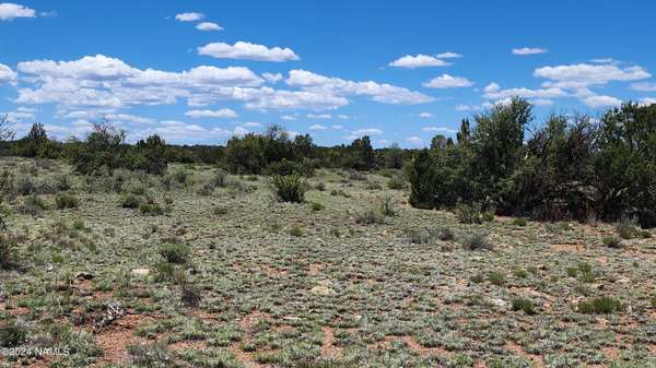 Williams, AZ 86046,12688 Pipecreek Loop