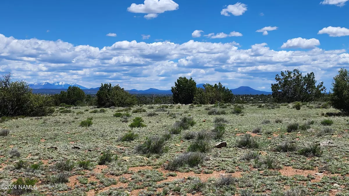 Williams, AZ 86046,12688 Pipecreek Loop