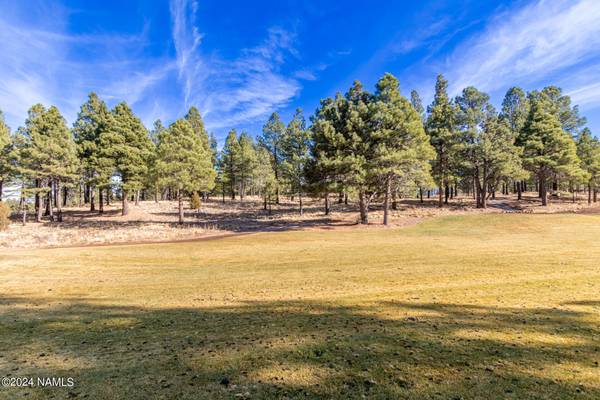 Flagstaff, AZ 86005,2931 S Solitaires Canyon Drive