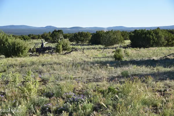 Williams, AZ 86046,145 Mountain Cat Road #509